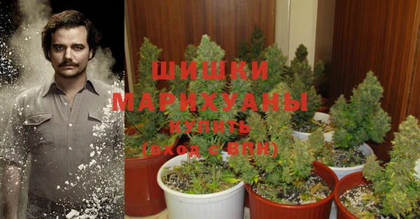 ПСИЛОЦИБИНОВЫЕ ГРИБЫ Козловка