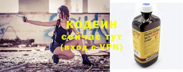 ПСИЛОЦИБИНОВЫЕ ГРИБЫ Козловка