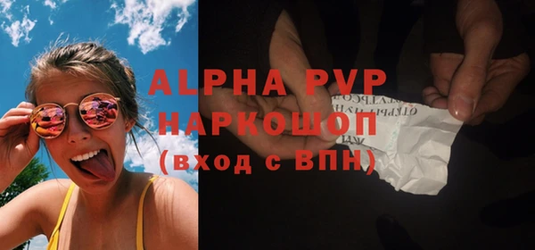 ПСИЛОЦИБИНОВЫЕ ГРИБЫ Козловка
