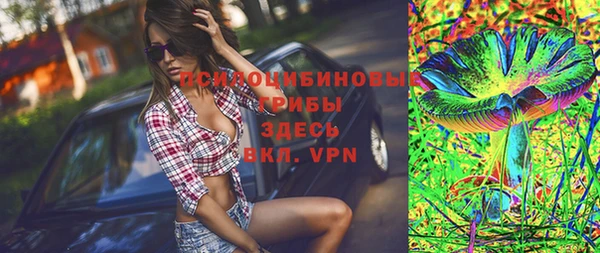 ПСИЛОЦИБИНОВЫЕ ГРИБЫ Козловка