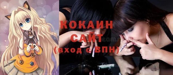 ПСИЛОЦИБИНОВЫЕ ГРИБЫ Козловка